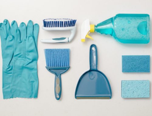5 astuces pour se débarrasser d’un nid de frelons asiatiques Rennes