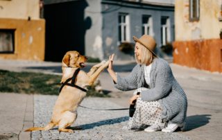 Wewrite Blog De Communique De Presse Immobilier Beautiful Girl With Dog 472