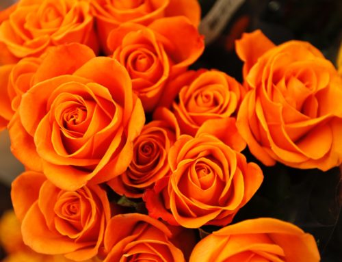 Fleuriste le Bouscat : Composez vos bouquets D.I.Y. en 5 étapes.