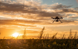Drone No Copyright In A Soybean Field,