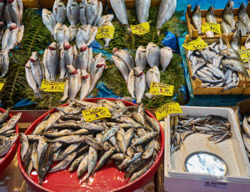 Poissonnerie Avrillé : Les bienfaits du poisson pour la santé