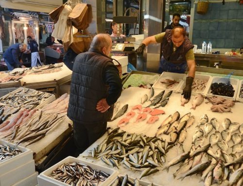 Poissonnerie Avrillé : Les bienfaits du poisson pour la santé