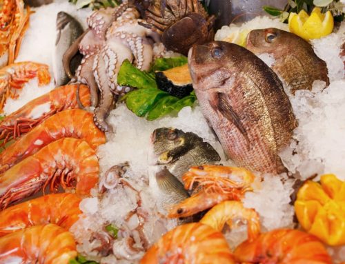 Découvrez les meilleures recettes à base de fruits de mer à Jard-sur-Mer