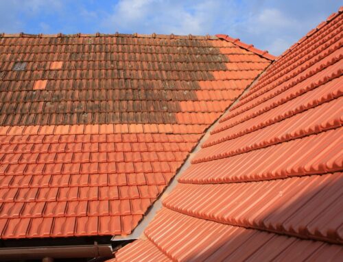 Démoussage toiture à Guérande : 3 astuces pour nettoyer votre toiture