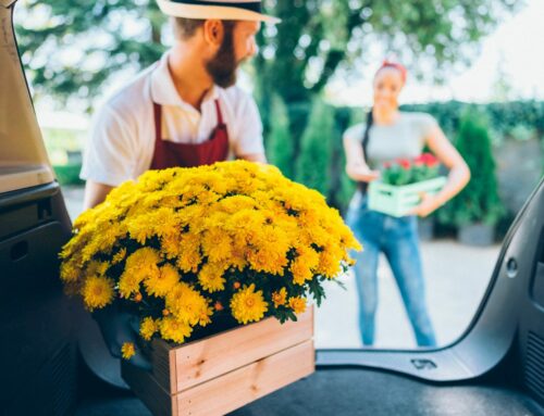 Tout ce qu’il faut savoir avant de se faire livrer chez un fleuriste à Saint-Sulpice-et-Cameyrac