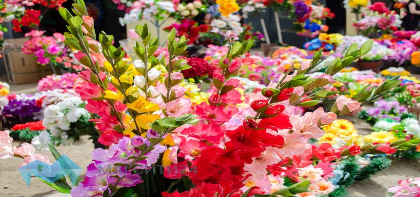 Wewrite Blog De Communique De Presse Immobilier Des Fleurs En Ligne 1400
