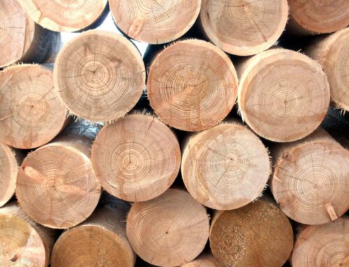 Traitement bois à Anglet : Un Guide Complet pour la Durabilité et la Beauté Naturelle