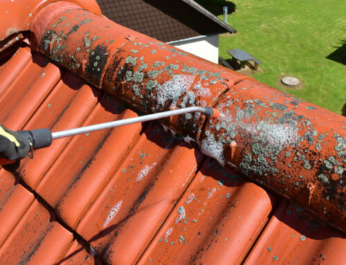 L’importance du démoussage de toiture à Ancenis pour votre maison