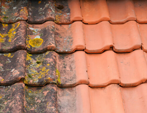 Le démoussage de toiture à Tremblay : un geste essentiel pour la longévité de votre habitation